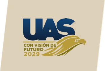 Visión 2029