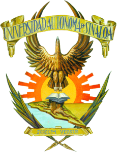 FEIyPP Virtual